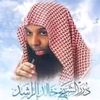 med.ali.ag6