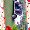 avikashsingh40