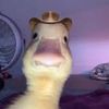 binkynostinky
