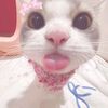 ndahhh787