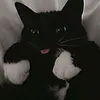 puma_luma0