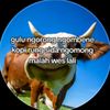 betmenterbang98