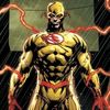 .flash.reverso