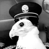 ar_t9t
