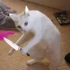 phongdepzaivaicalon