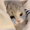 laogicubgton2