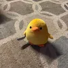 bopo001