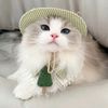 catslove901
