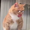 bon.nhazukiz.27