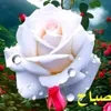 user9385618201194