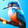 nydan86