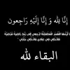 shazhnytarek0