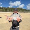 fishinglife109