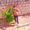 user62550774149184