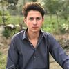 dark_anas_0