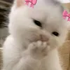 ilysmbidkhttyml1