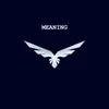 MEANING