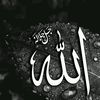 user540932737