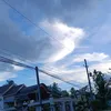 trongduongcuti1