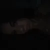 amyamy2483
