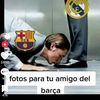 roaareda728