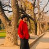 beast_alpha2
