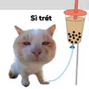 dilamcungnguoidep