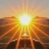 nihad.nihad520