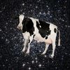 spacecow_10