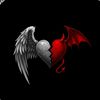 ali.sheir5911