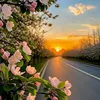 naturevideos57