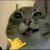 unknown_wiqt