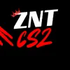 znt_cs2