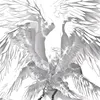 user210100621