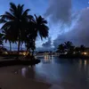 vlogs_byleni