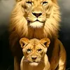 janete.maria.da.s97