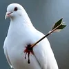 hamoudi45915