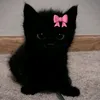 mzfyii3zz_