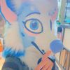 pawztastick
