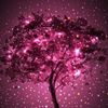 samar_sierrac3