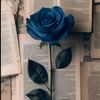 urwa.sarim7