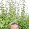 user63063746182830