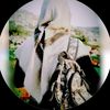 kamal.madi52