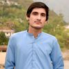 hamad.arman.arman