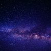 star___gazer___