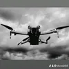 divad288