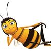 beeiconic1