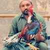 rana.waqas22a