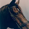 antonioborjaborja6