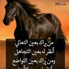 syaed.barakat